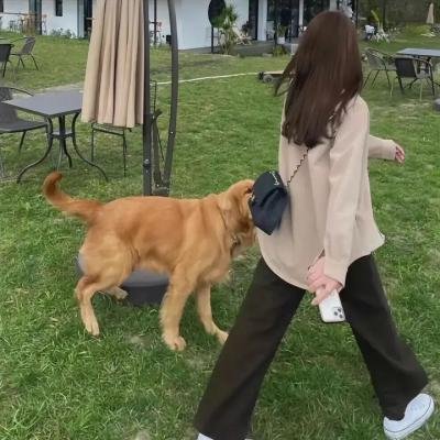 情欲独角兽